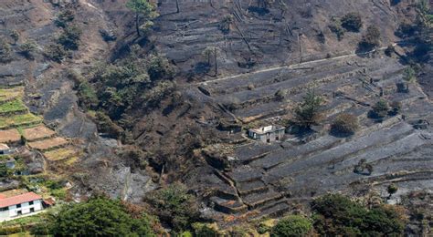 um matina hectares|Incêndios de Agosto consumiram 5.116 hectares na Madeira.